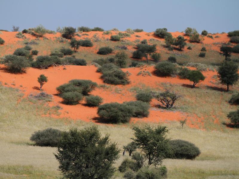 Camelthorn Kalahari Lodge Hoachanas Экстерьер фото